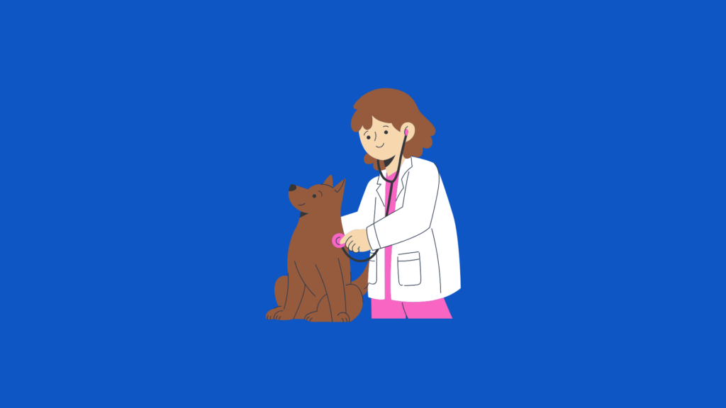 Vet