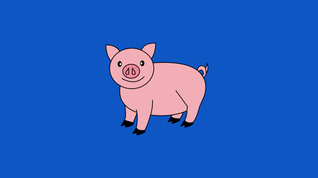 Pig