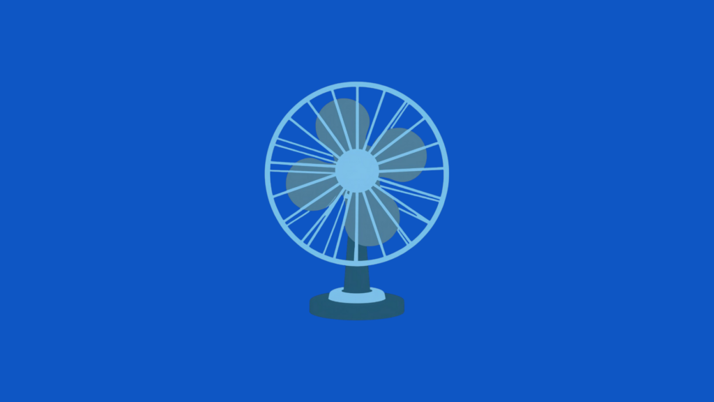 Fan